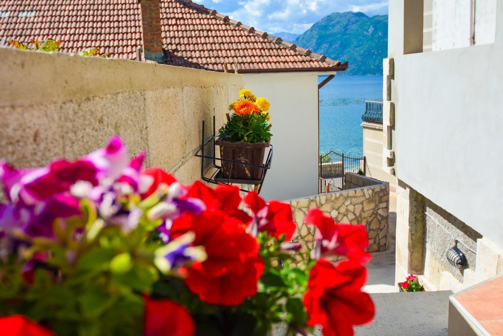 Apartment The Sea Coast Kotor Exteriör bild